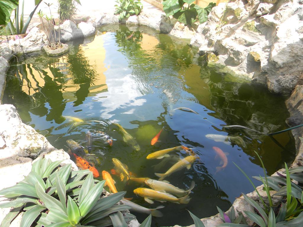 Hacienda Cobá Panzió Kültér fotó